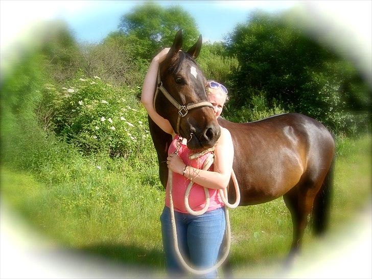 Dansk Varmblod Rubina Imhoff "Rubbies" - Den sidste dag med stjernen. 
"Husk at leve mens du gør det, husk at elske mens du tør det" <3

Miss U every second of the day :'/ < billede 1