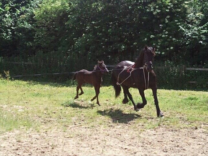 Frieser Hilda - Min smukke hilda mor :-) elsker hende rigtig meget. billede 20