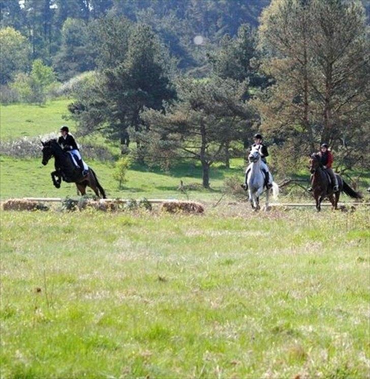 Connemara Philipstatt's Gaia, min soulmate - Fårårs Jagt i Syddjurs rideklub, i Molsbjege, 15 km. :) 2011
Sammen med bedsteveninden og henden pony, og Gaia♥. billede 5