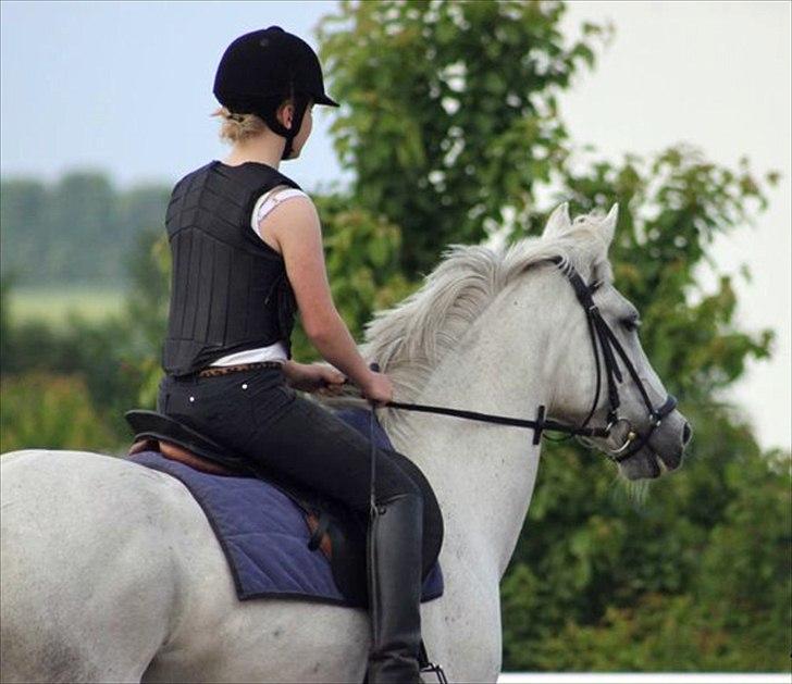 Connemara Philipstatt's Gaia, min soulmate - 07-Jun-2011 billede 8