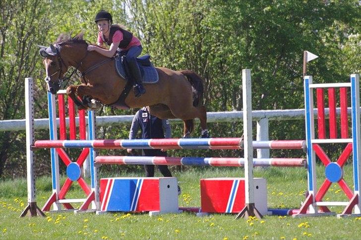 Hollandsk Sportspony Cesar solgt :( - #7. Sikke højt smukke ponyen springer over ;-)<3
Foto: Sarah Wheler. billede 5