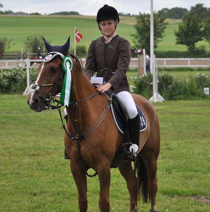 Hollandsk Sportspony Cesar solgt :( - #12. 3. plads i Silkeborg, skønne pony, var 0 i alle klasser og blev placeret i alle klasserne! :-*
Foto: Sofie Nørgaard billede 8