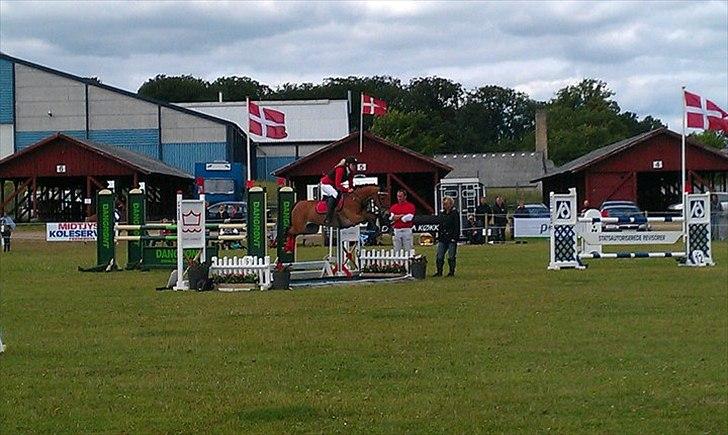 Anden særlig race Esmaralda "A-pony" SOLGT - dammn' Ralde er seeej :-D Hold DM 2011, 0 fejl MA*, 3 plads for hold billede 7