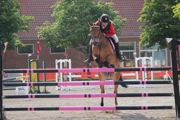 Anden særlig race Esmaralda "A-pony" SOLGT - MA** Næstved 2011 billede 8