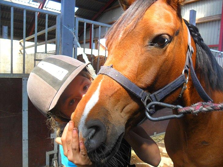 Anden særlig race Calvados  - Min smukke dreng og jeg <3 <3 :-* MØØØØS :* billede 15