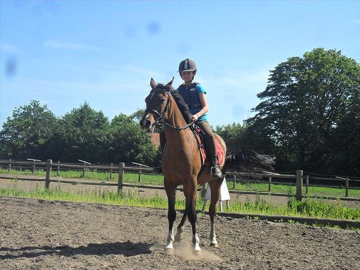 Anden særlig race Calvados  - Banditten ved hvor udgangen er :P billede 6