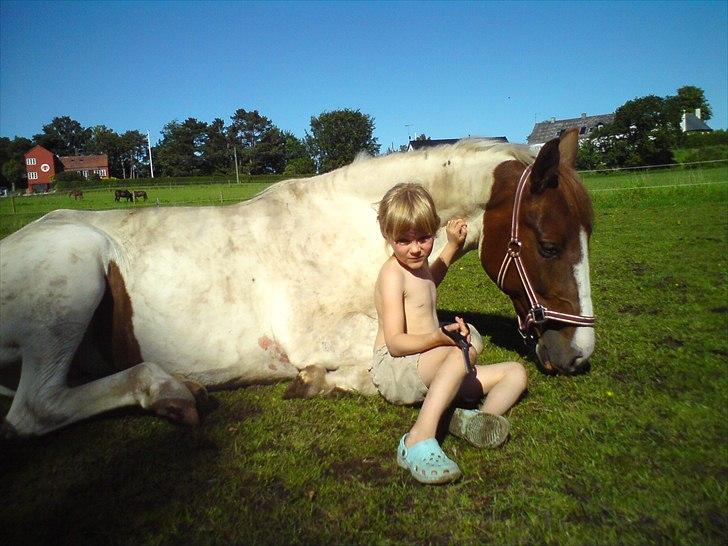 Pinto Katja - Vi er så trætte billede 18