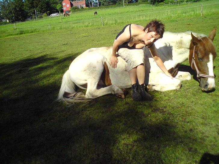 Pinto Katja - Min  søde pige billede 6