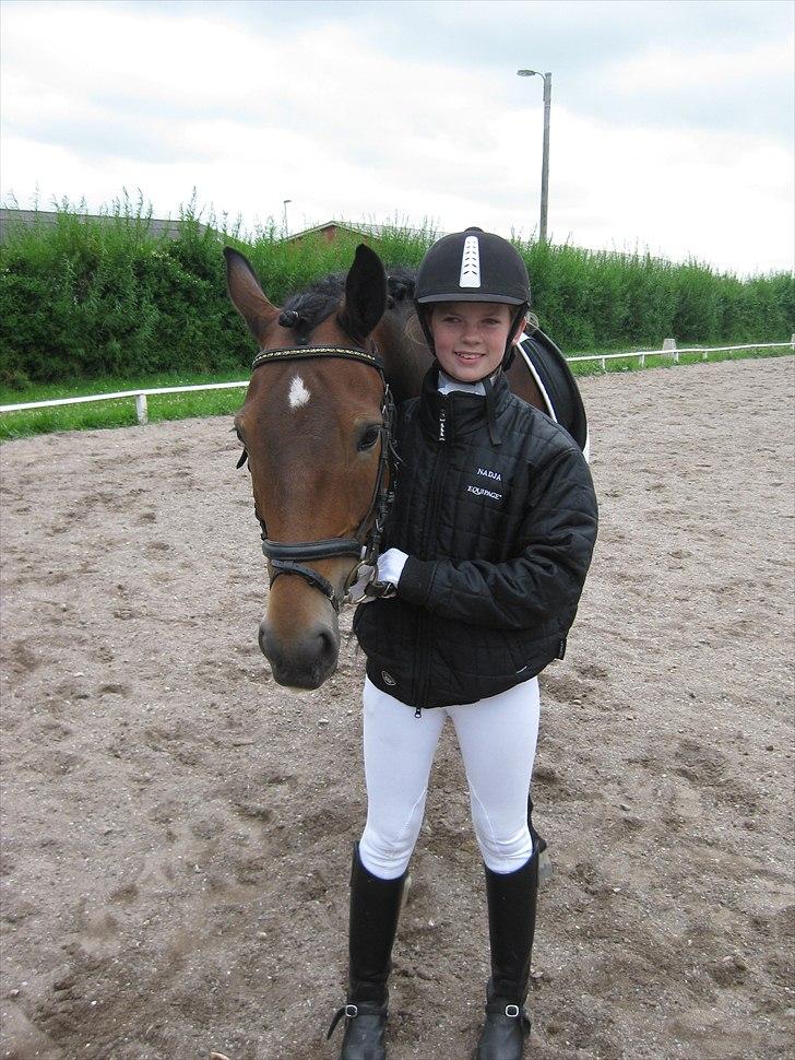 New Forest Freiser [ Himmelhest] - Dig og mig for evigt og altid <3 billede 10