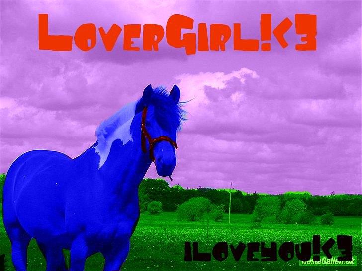 Anden særlig race LoverGirl [savnet] - Lover girl "billed lavet af mig" billede 15