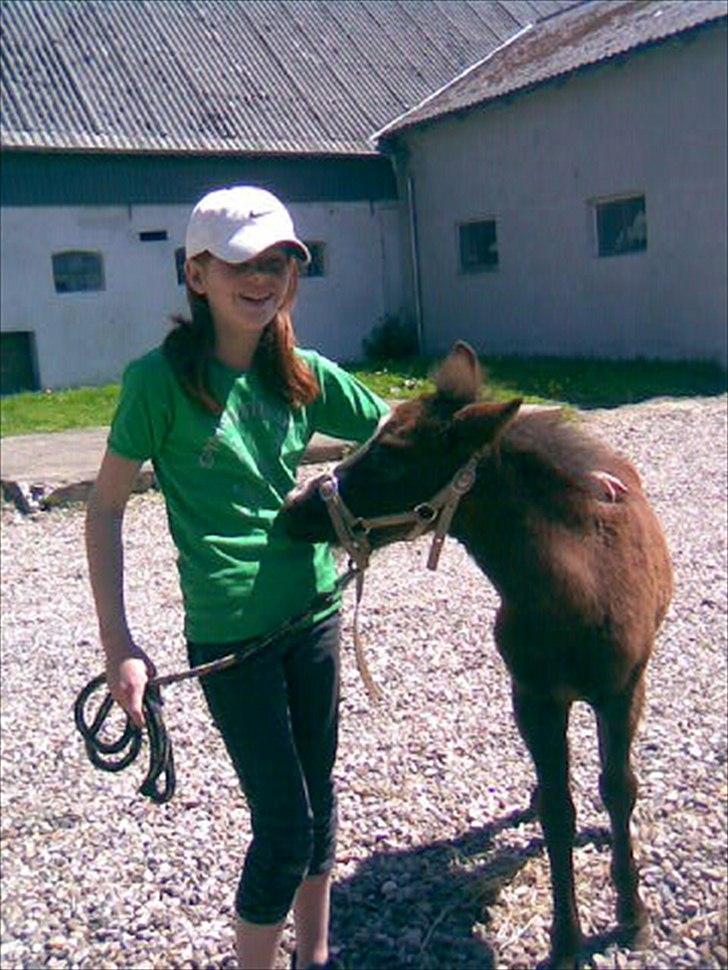 Anden særlig race Necupina (Pina) - Velkommen til Necupinas profil;) Håber i gider ligge en bedømmelse og kommentar;)
LIlle Pina der napper mig i maven;)  billede 1