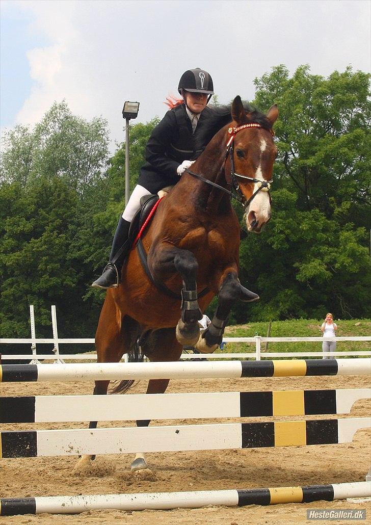 Dansk Varmblod Aducan - LC i vosk med gamle springpart Simone. billede 14