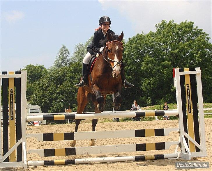 Dansk Varmblod Aducan - LC i vosk med gamle springpart Simone. billede 16