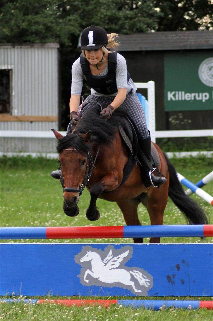 Anden særlig race Cassiopeia DEN SAVNEDE!<3 - Sidste springundervisning(': Foto: Sabrina<3 billede 19