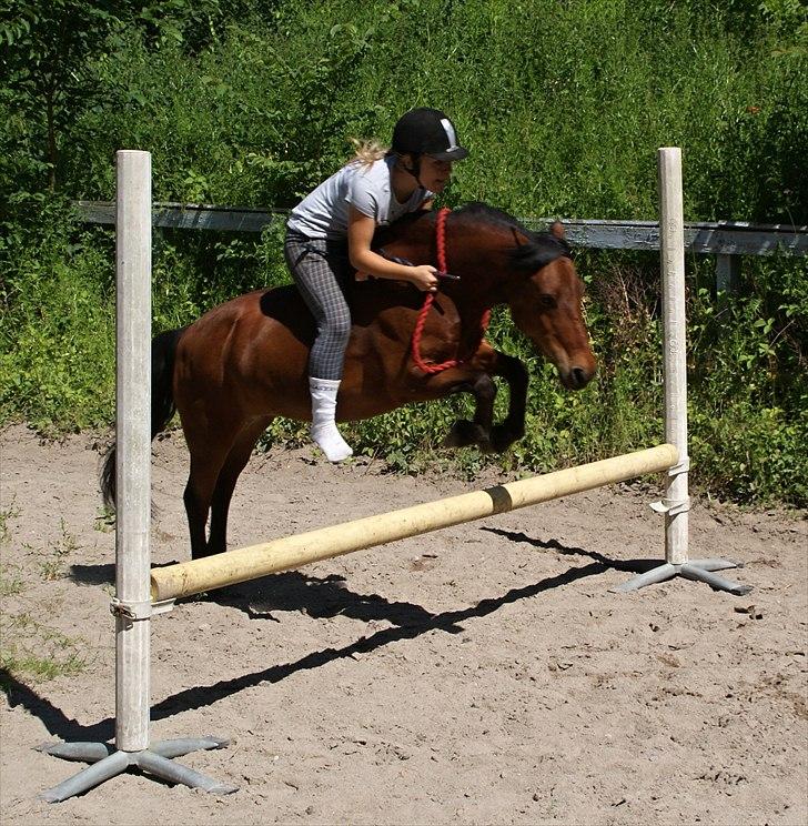 Anden særlig race Cassiopeia DEN SAVNEDE!<3 - Mit aller sidste spring på Cassi /': Og så sku det da lige være uden hovedtøj! (-:<3 billede 12