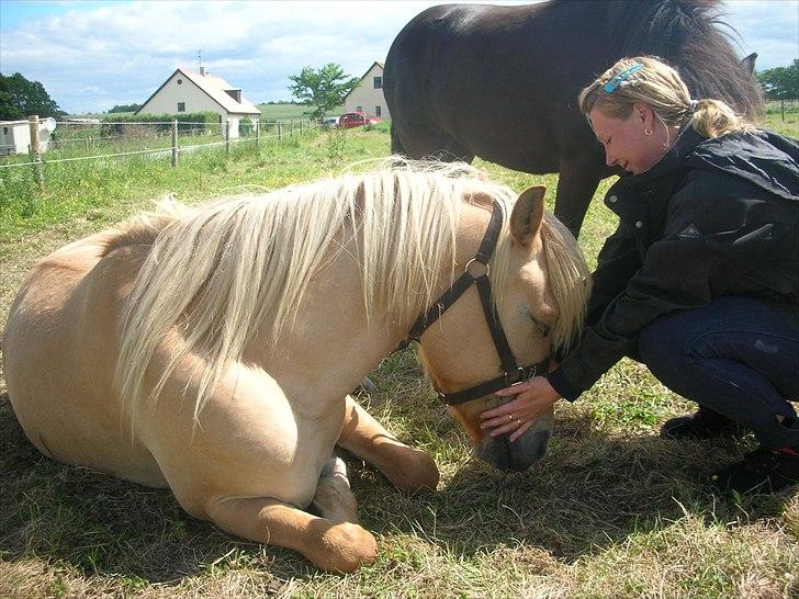 Anden særlig race spencer billede 8