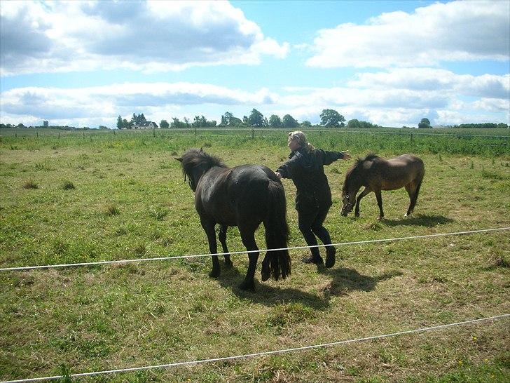 Anden særlig race frida billede 12