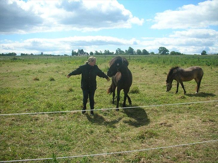 Anden særlig race frida billede 14