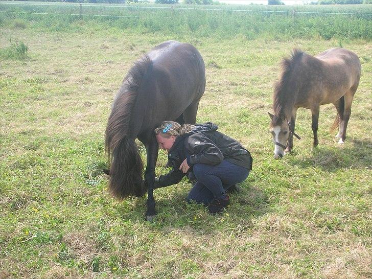 Anden særlig race frida billede 15