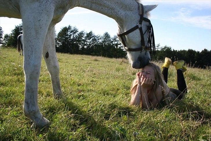 Anden særlig race Leonardo - 20. "Hej" ;) billede 20
