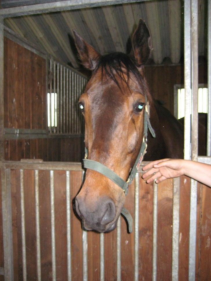 Traver Kentucky Place billede 1