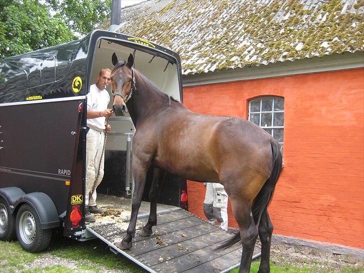 Traver Kentucky Place billede 3