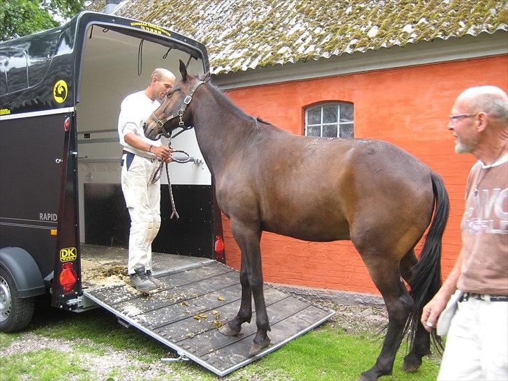 Traver Kentucky Place billede 4