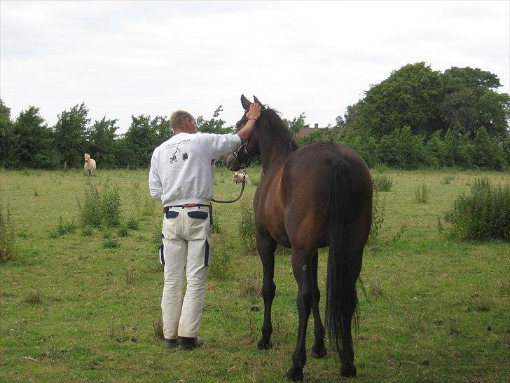 Traver Kentucky Place billede 6