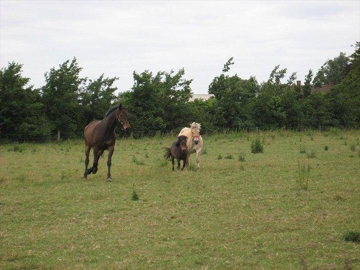 Traver Kentucky Place billede 7