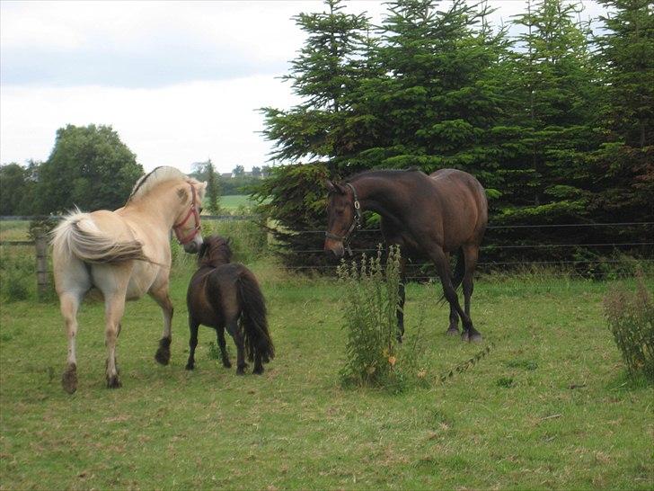 Traver Kentucky Place billede 8