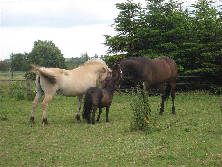 Traver Kentucky Place billede 9