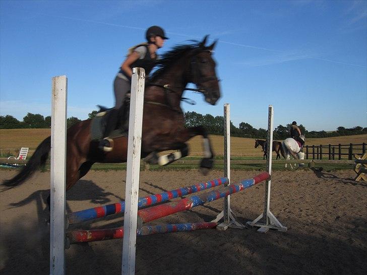 Traver Big But Stupid<3 - hop lille hest hop!! billede 6