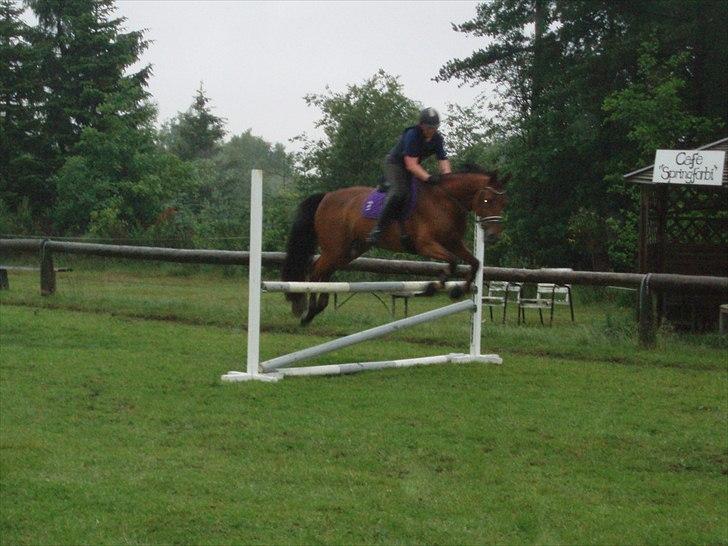 Dansk Varmblod Classy Dame - Springundervisning i regnvejer juni 2011 billede 9