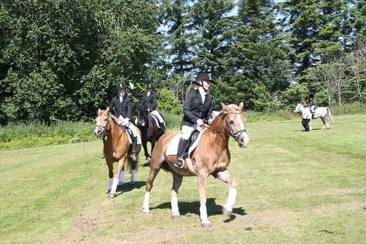 Haflinger Valerie - Kvadrille afslutning i Mygdal 2011. billede 3