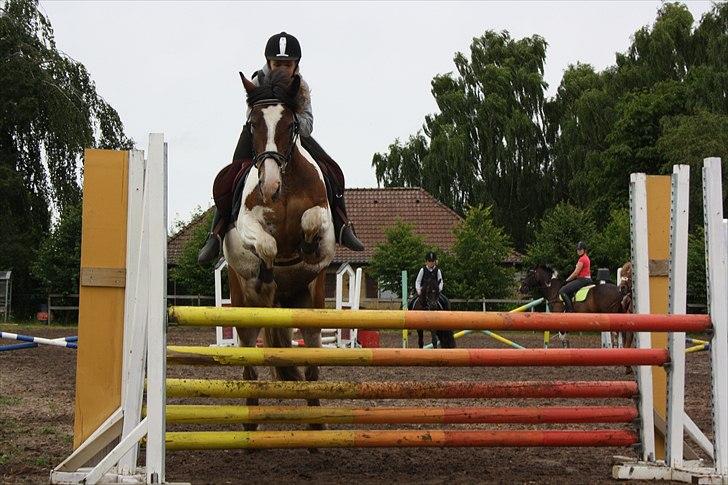 Tinker / Irish Cob Romoses Paprika - Højdespring, vandt med 1.05 meter.
Her springer vi 1 meter :) billede 17