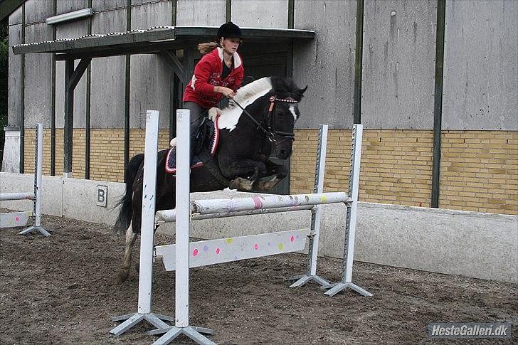 Anden særlig race Bounty -Charmetrold :'-)  - Vi tager da bare lige 1 meter :-D Love you pony !!! <333 Sidste gang jeg sprang ham,.. -Taget af prof. fotografen Laura Bach Nielsen ;-) billede 10