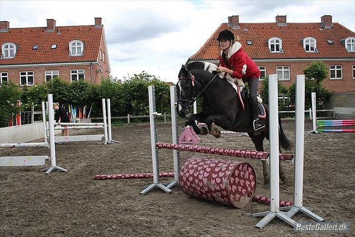 Anden særlig race Bounty -Charmetrold :'-)  - Vi kan sagtens hvis bare vi vil <333 Sidste gang jeg sprang ham :'-) -Taget af Lause :-D -Tak billede 11