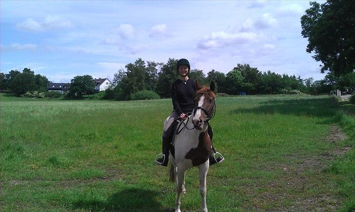 Pinto Katja billede 9