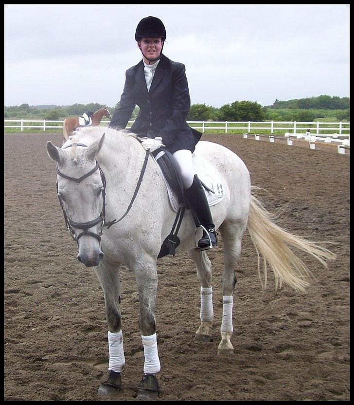 Holstener Loredana billede 1