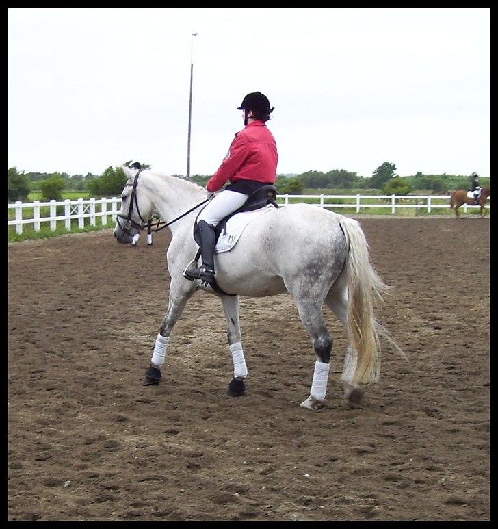 Holstener Loredana billede 2