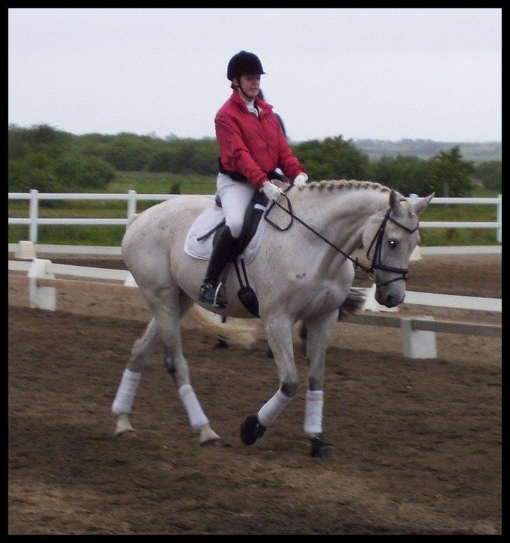 Holstener Loredana billede 3