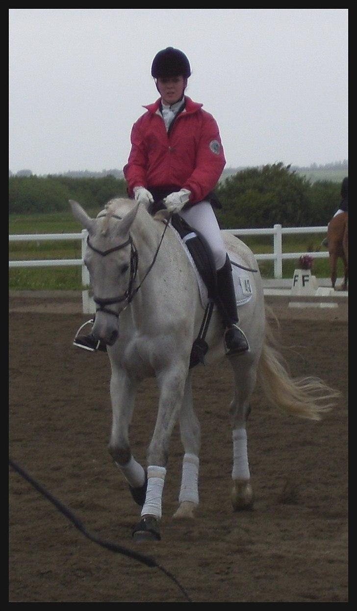 Holstener Loredana billede 4