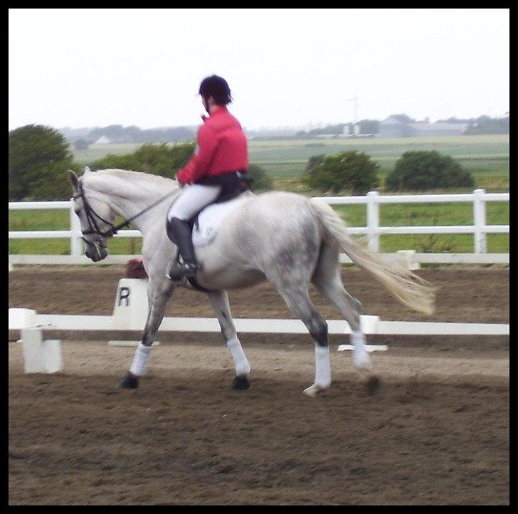 Holstener Loredana billede 5