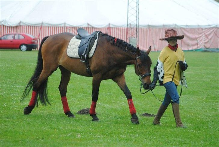 Dansk Varmblod Facit - Woody og Bullseye, sommerfest 2011. Foto: Svend Erik - tak.  billede 4