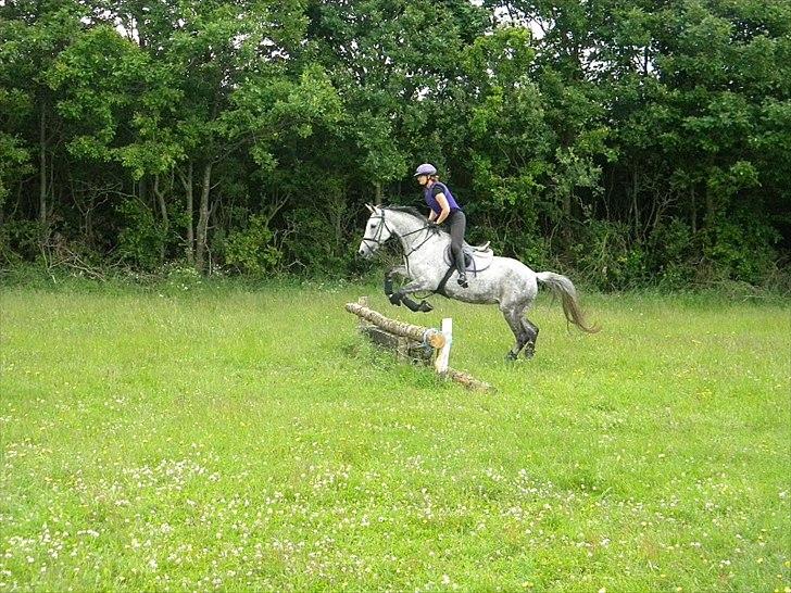 Anden særlig race Lotus - terræntræning 13 juni 2011 billede 12