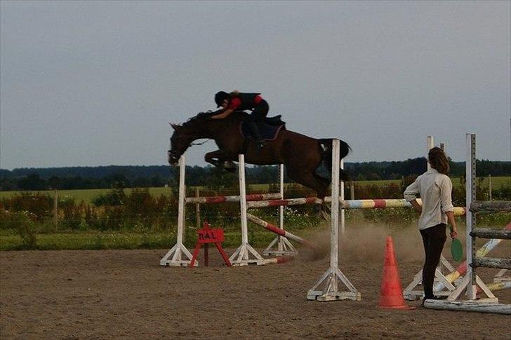 Hollandsk Varmblod WERONICA - vores første stævne sammen.  billede 5