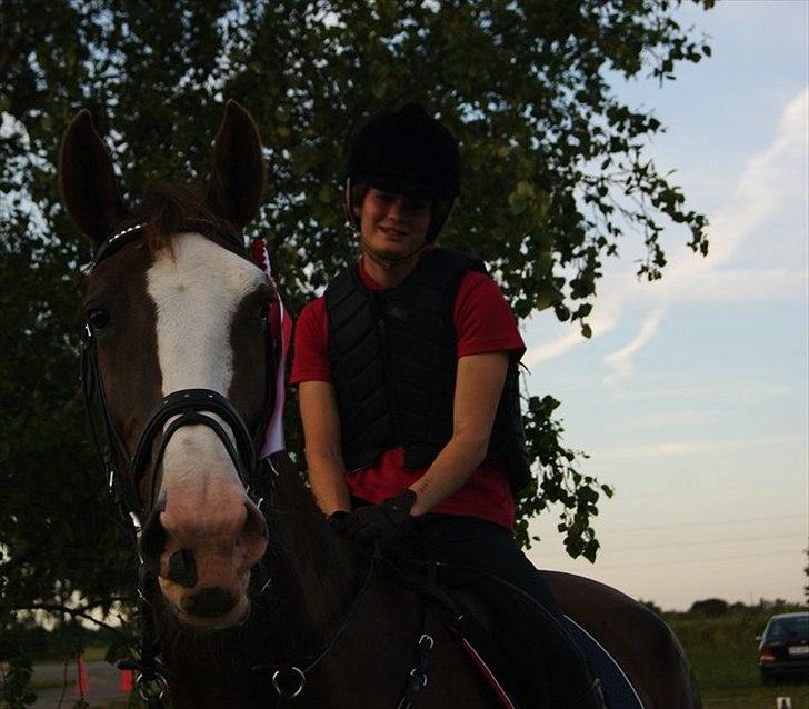 Hollandsk Varmblod WERONICA - vi vandt lb ( 110 ) var super stolt vores første stævne sammen . ! :) billede 12