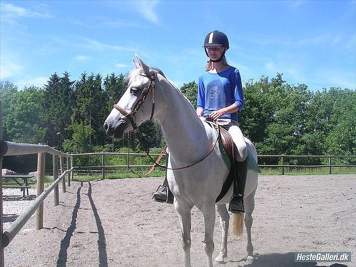 Anden særlig race Ullive / gl. part - [12] I sommerferien da jeg skulle ride alene :) foto: Melissa billede 12