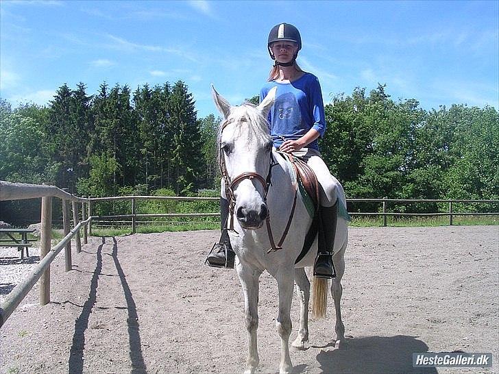 Anden særlig race Ullive / gl. part - [13] I sommerferien da jeg skulle ride alene :) foto: Melissa billede 13