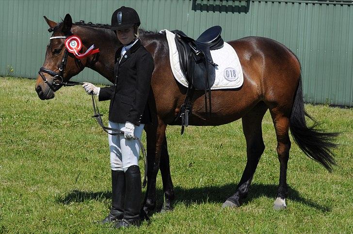 Anden særlig race FLICKA - Flicka med 1. plads i LB2 fra Sæby billede 19
